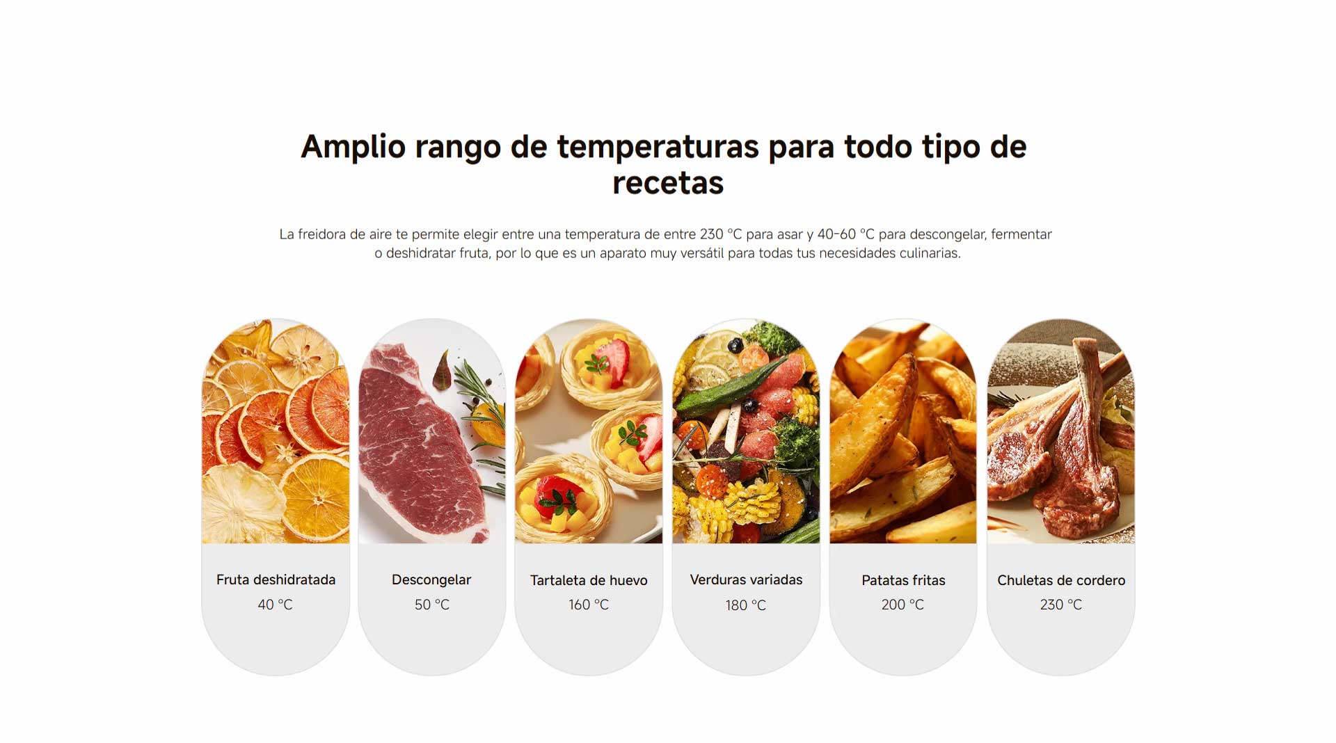 XiaomiDualZoneAirFryer10L_08