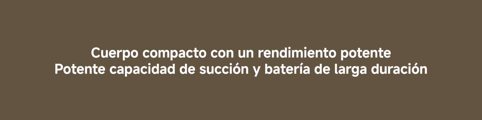 XiaomiVacuumCleanerP30-03